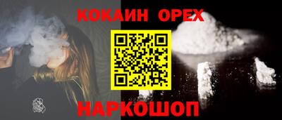 гашик Кингисепп
