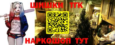 гашик Кингисепп