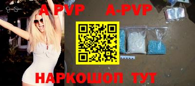 гашик Кингисепп