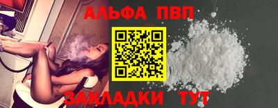 гашик Кингисепп
