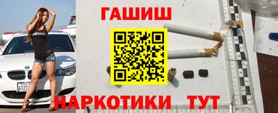 гашик Кингисепп