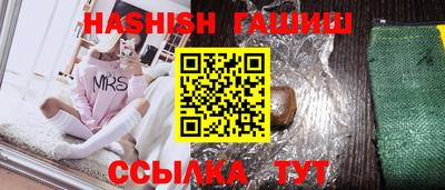 гашик Кингисепп