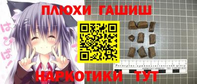 гашик Кингисепп