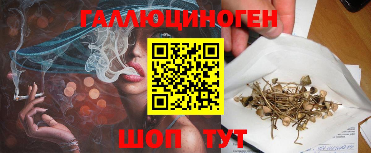 Галлюциногенные грибы Psilocybe Красноуфимск